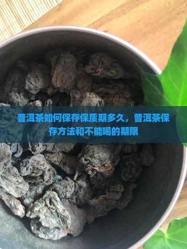 普洱茶如何保存保质期多久