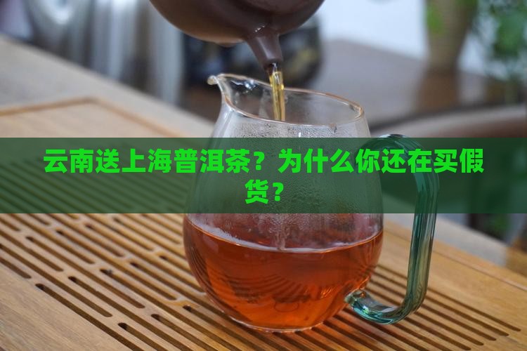 云南送上海普洱茶