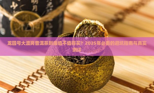 龙园号大渡岗普洱茶