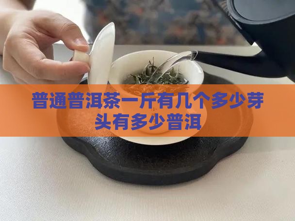 普通的普洱茶一斤有几个