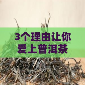 仁易普洱茶的功效