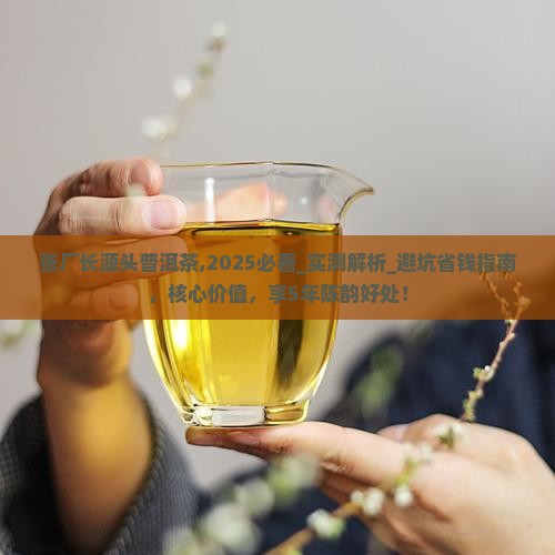 张厂长源头普洱茶