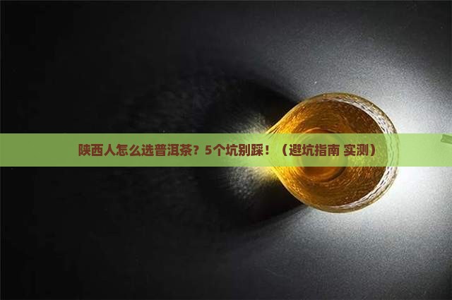 陕西普洱茶交易