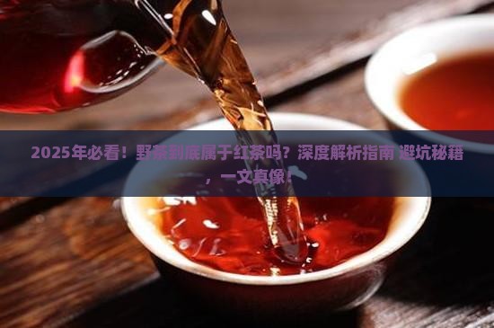 野茶属于红茶吗