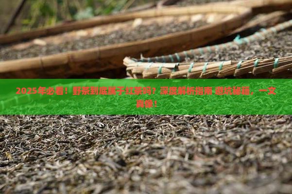 野茶属于红茶吗