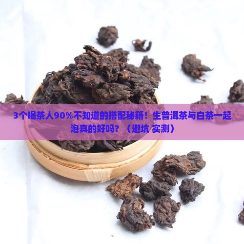 生普洱茶与白茶一起泡吗