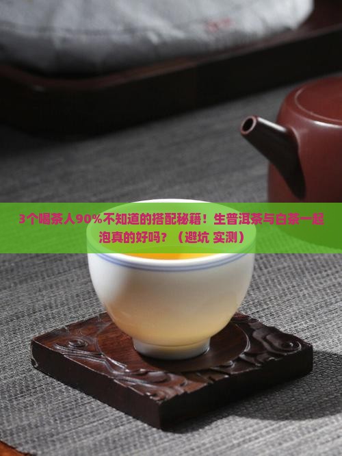 生普洱茶与白茶一起泡吗