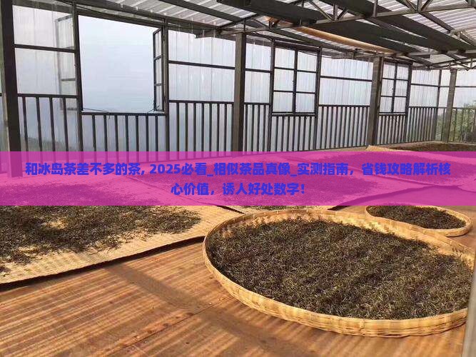 和冰岛茶差不多的茶