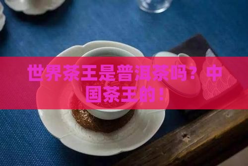 世界茶王是普洱茶吗