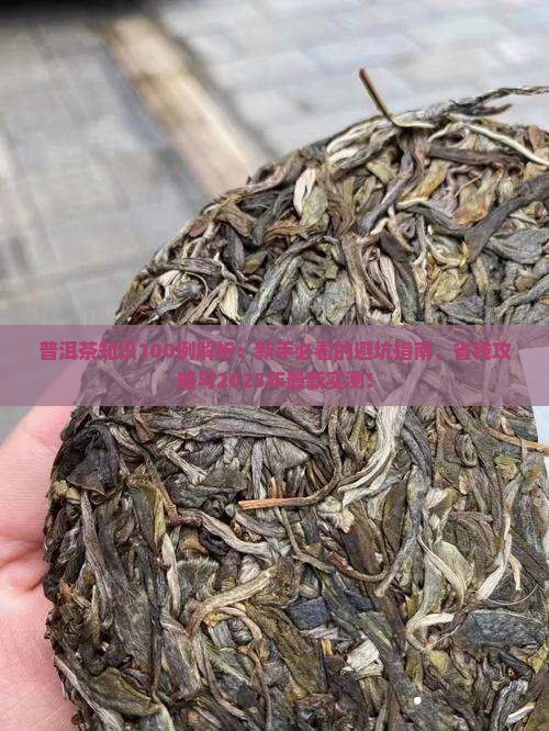 普洱茶知识100例