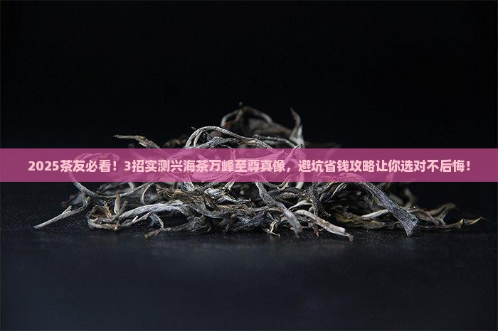兴海茶万峰至尊