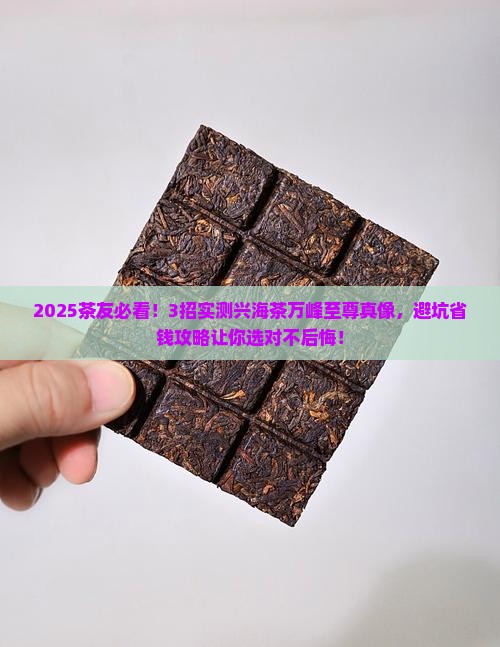 兴海茶万峰至尊