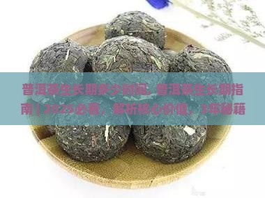 普洱茶生长期多少时间