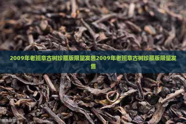 2009年老班章古树