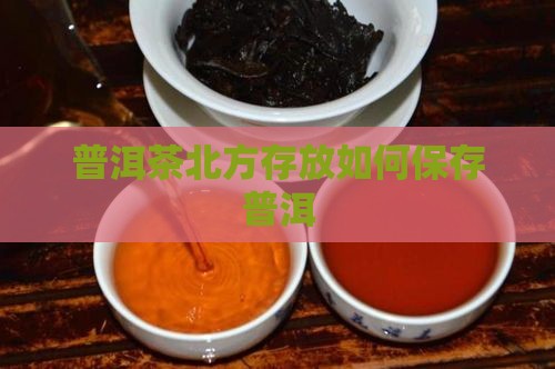 普洱茶北方能储存吗