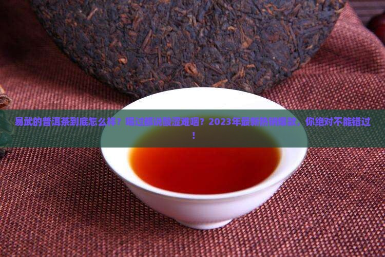 易武的普洱茶怎么样