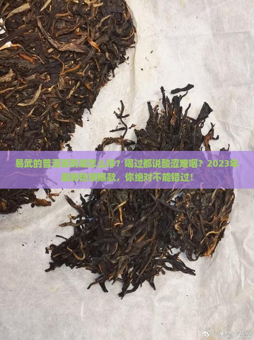易武的普洱茶怎么样