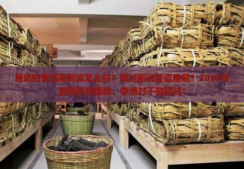 易武的普洱茶怎么样