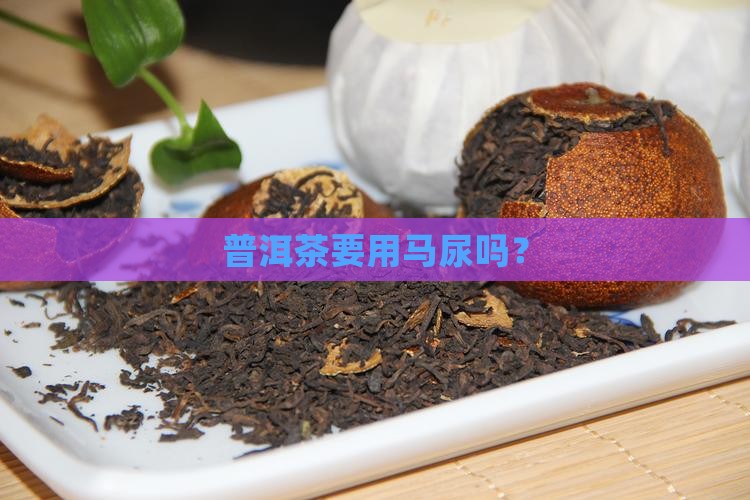 普洱茶要用马尿吗