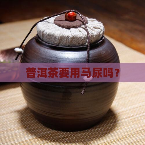 普洱茶要用马尿吗