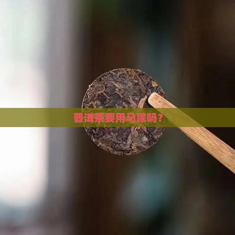 普洱茶要用马尿吗
