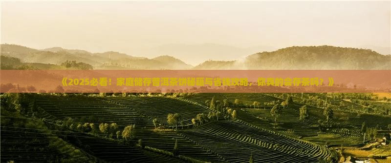家庭怎么样储存普洱茶饼