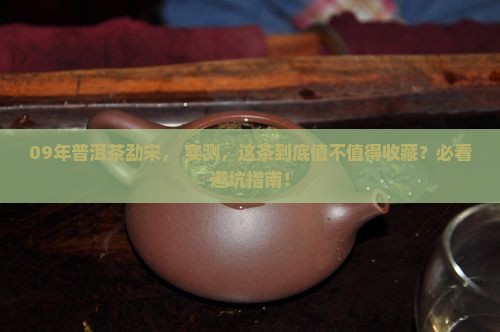 09年普洱茶勐宋