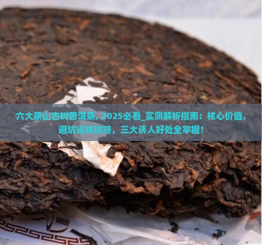 六大茶山古树普洱茶