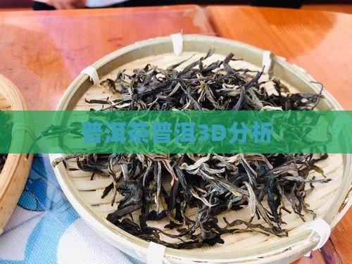 普洱茶3d分析