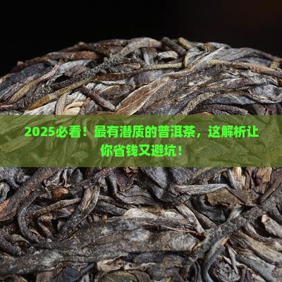 最有潜质的普洱茶