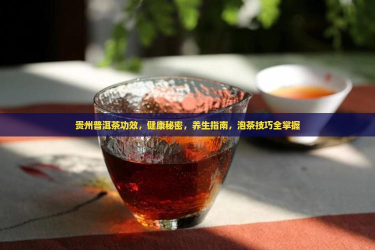 贵州普洱茶功效