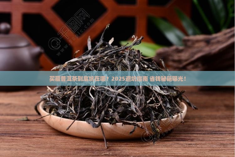 购买藏普洱茶有什么问题