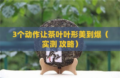 怎样让茶叶叶形漂亮