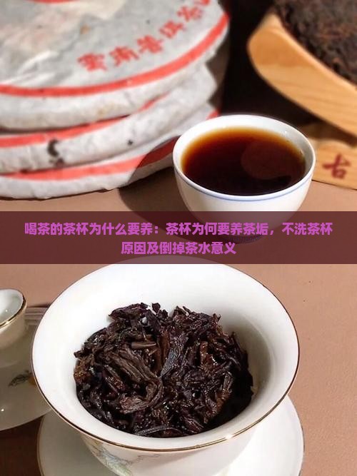 喝茶的茶杯为什么要养
