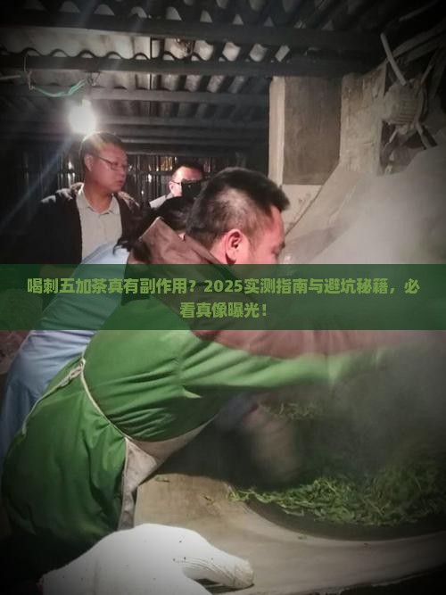 喝刺五加茶的副作用