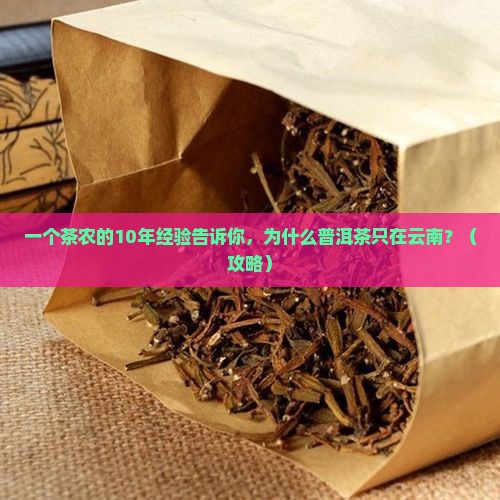 云南普洱茶的起源分布