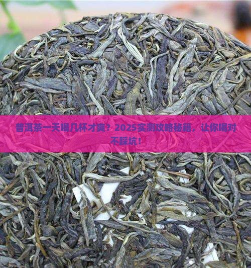 普洱茶一天喝几杯好
