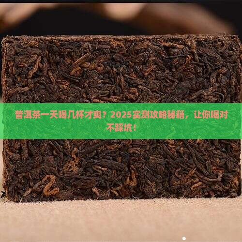 普洱茶一天喝几杯好