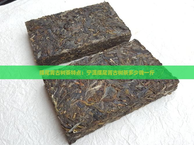 摆尾箐古树茶特点