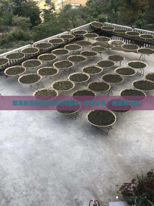 普洱茶苦茶的苦味