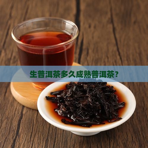 生普洱茶多久成熟普洱茶
