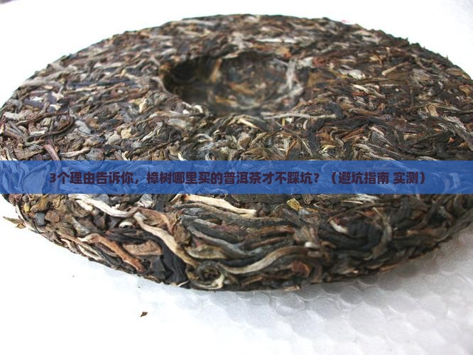 樟树哪种普洱茶好