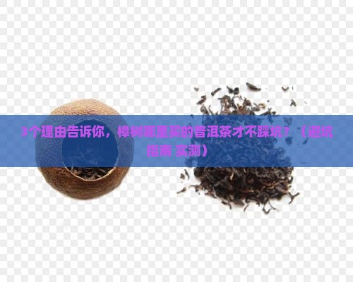 樟树哪种普洱茶好