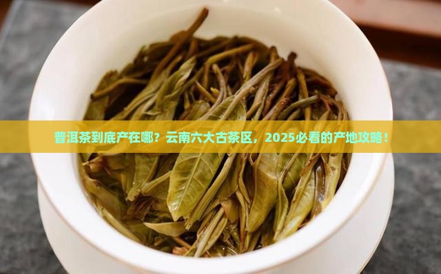 普洱茶的各大产地