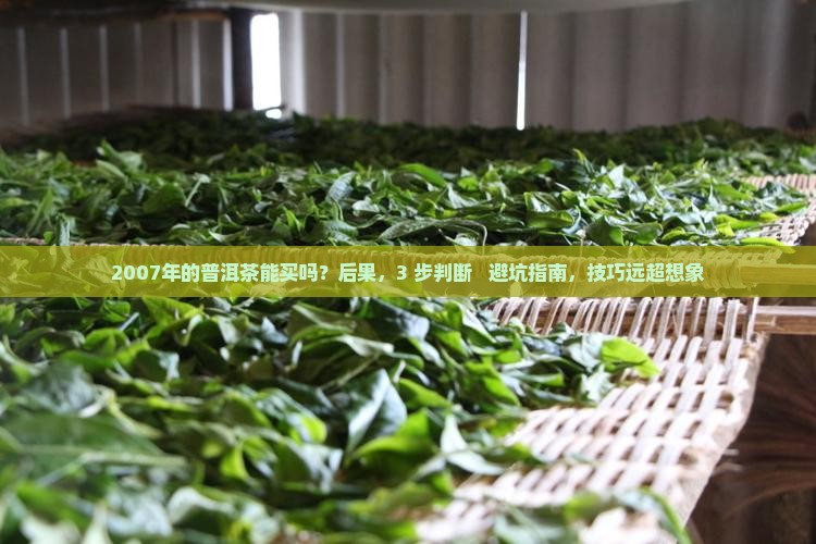 2007年的普洱茶能买吗