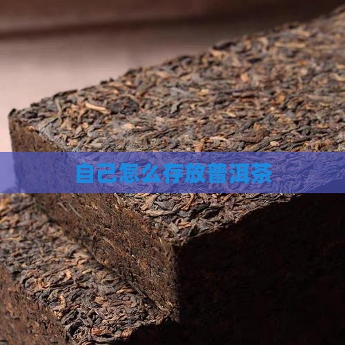 自己该怎么存放普洱茶