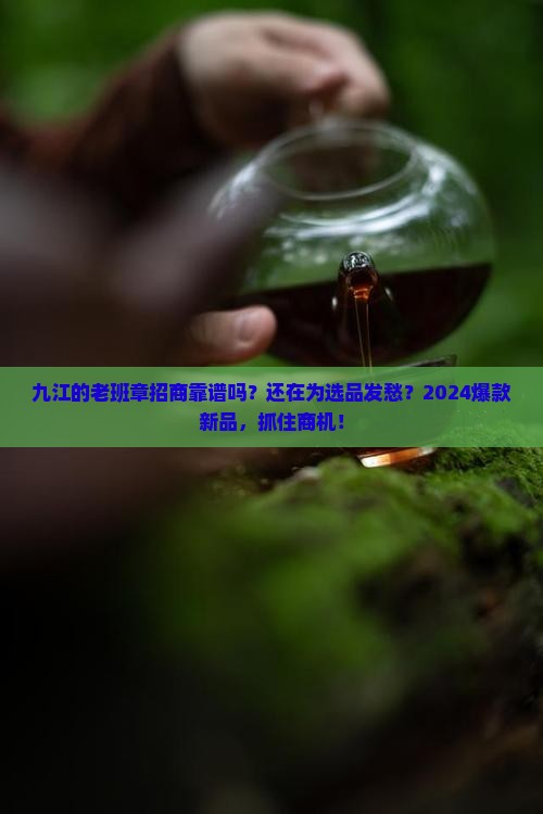 九江靠谱的老班章招商