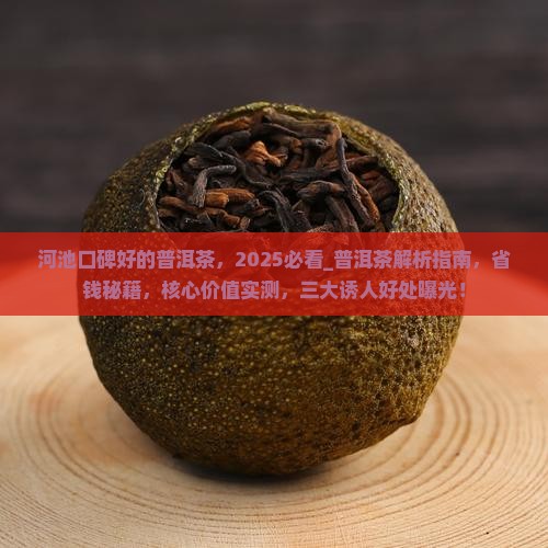 河池口碑好的普洱茶品牌