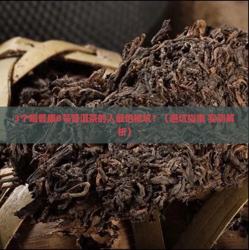 普康8号普洱茶
