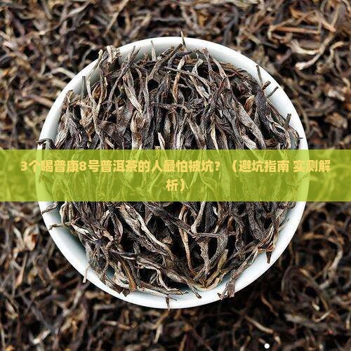 普康8号普洱茶